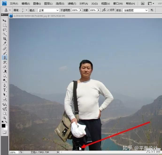 掌握仿制图章工具的核心技巧:从基础操作到高级应用 掌握仿制图章工具的核心技巧:从基础操作到高级应用