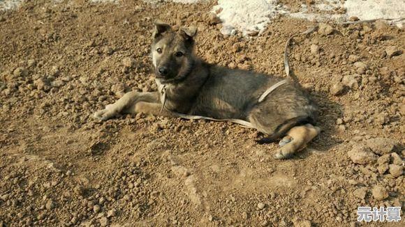 还在找休闲游戏?鱼主人》让你边钓鱼边赚金币! 还在找休闲游戏?鱼主人》让你边钓鱼边赚金币!