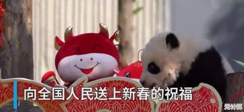 你准备好照顾可爱的BasPi了吗?萨卡班甲鱼》等你来玩! 你准备好照顾可爱的BasPi了吗?萨卡班甲鱼》等你来玩!