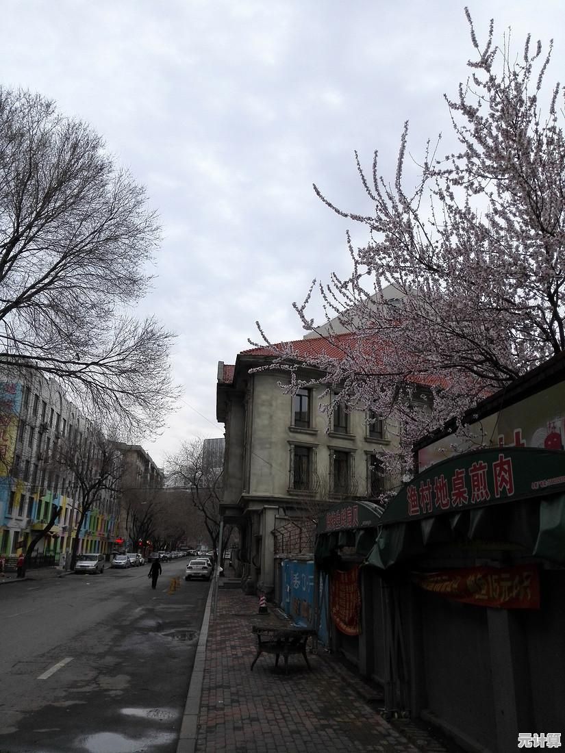 小米手机系统重装指南:轻松恢复流畅如新体验 小米手机系统重装指南:轻松恢复流畅如新体验