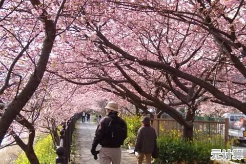 想体验自由探索的校园生活?樱花校园1.040.11英文版》满足你的所有幻想! 想体验自由探索的校园生活?樱花校园1.040.11英文版》满足你的所有幻想!