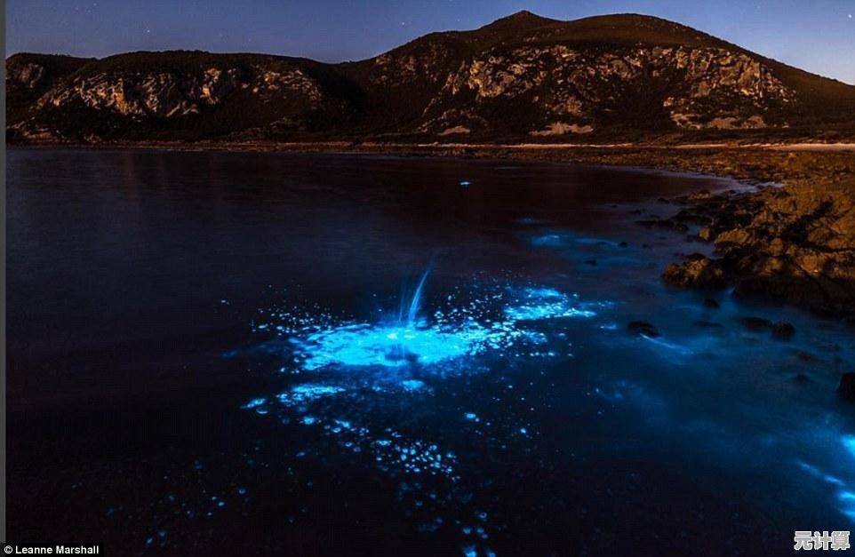 个性化图片密码在Win11的应用,让数据保护更简单高效 个性化图片密码在Win11的应用,让数据保护更简单高效