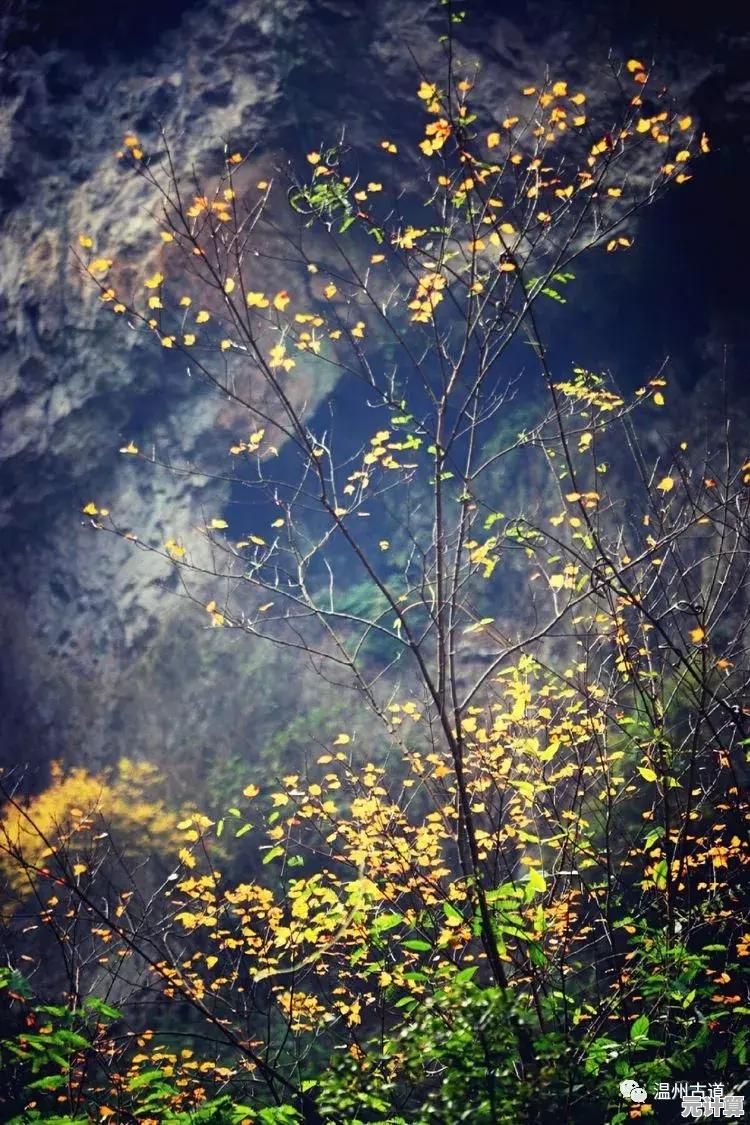 如何用两个按键征服崎岖山路？登山赛车老版本邀你体验最硬核的赛车升级之路！