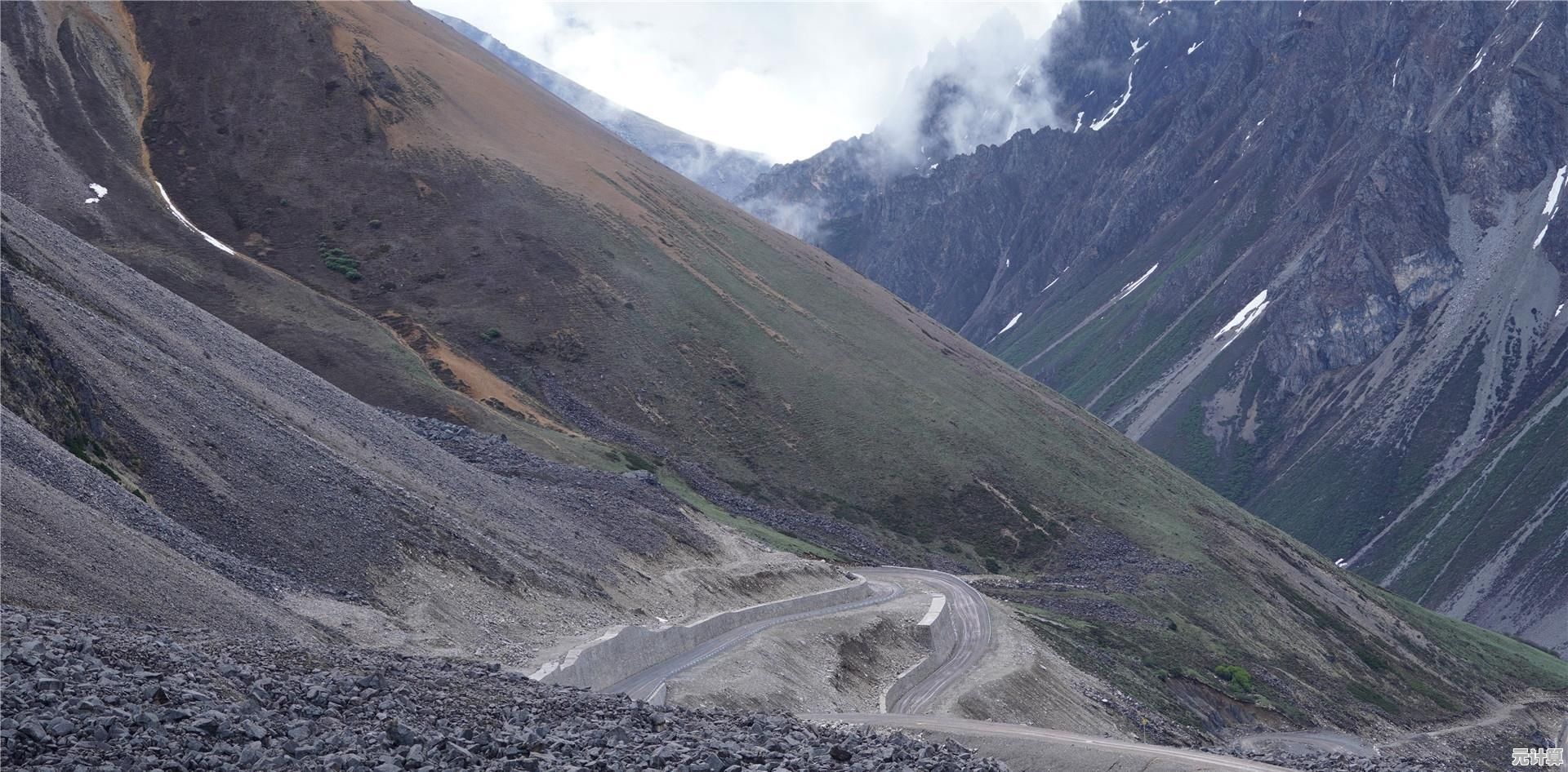 谁还没玩过这款超萌的多人对战游戏《丛林大作战》