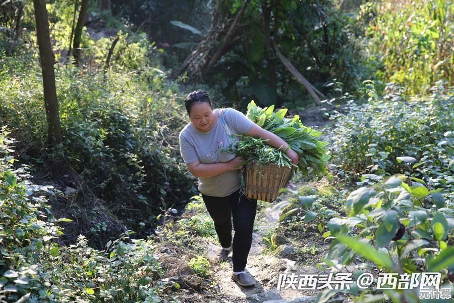 冒险经营两不误？兔克创业记免费版》带给你超轻松快乐的游戏体验！