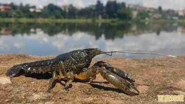 小鱼带您一步步学会如何截取经典电影精彩画面 小鱼带您一步步学会如何截取经典电影精彩画面