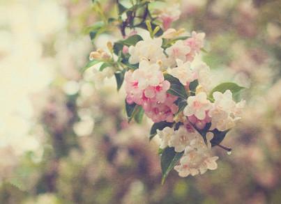 获取QQ2019年安卓官方正版,一键下载安装便捷社交工具 获取QQ2019年安卓官方正版,一键下载安装便捷社交工具