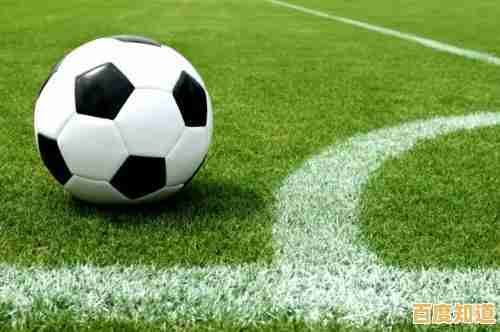 想体验丰富玩法的足球竞技?足球英雄杯满足你的所有期待! 想体验丰富玩法的足球竞技?足球英雄杯满足你的所有期待!