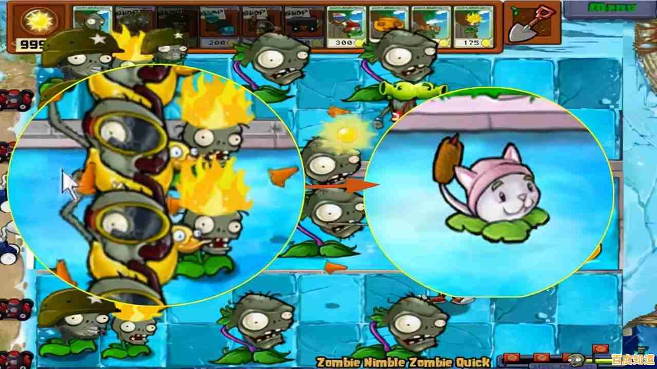 还在找策略游戏?植物大战僵尸中文免费版》的植物军团等你来指挥! 还在找策略游戏?植物大战僵尸中文免费版》的植物军团等你来指挥!