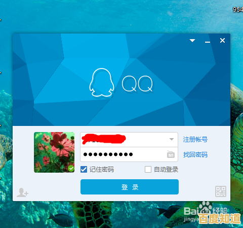 小鱼教您快速查找QQ共同好友的详细步骤