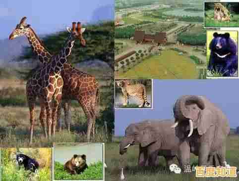 畸形动物园免费版:你的选择将决定生死,准备好逃出生天了吗? 畸形动物园免费版:你的选择将决定生死,准备好逃出生天了吗?