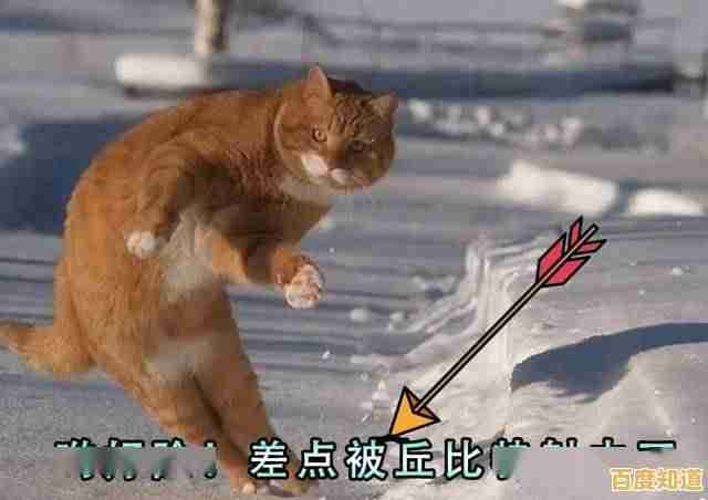厌倦了单调的经营游戏?放克猫猫》带你解锁撸猫+养成的双倍快乐!