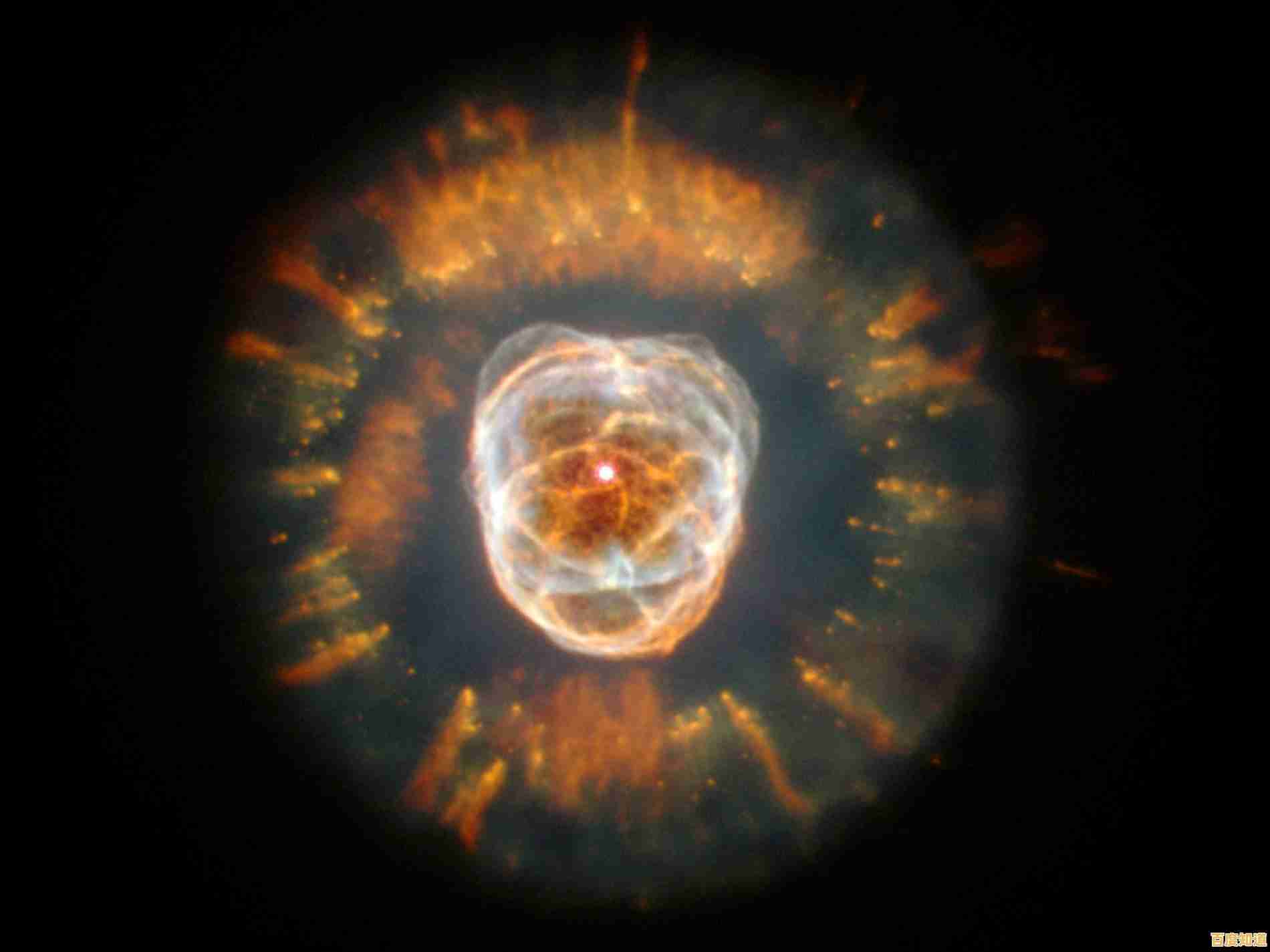 还在寻找有趣的模拟经营手游？可口的披萨美味的披萨国际服"不来体验一下吗？