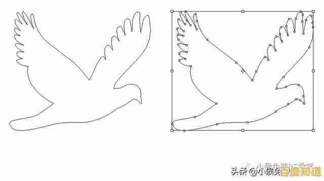 高效运用PS钢笔工具:解锁精准抠图与矢量图形设计秘诀