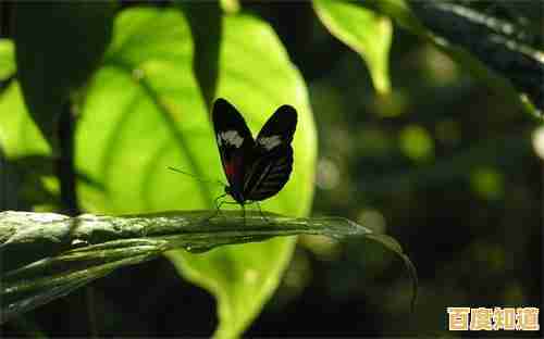 天梯图揭晓2021最佳内存条:品牌排名与型号选购指南 天梯图揭晓2021最佳内存条:品牌排名与型号选购指南
