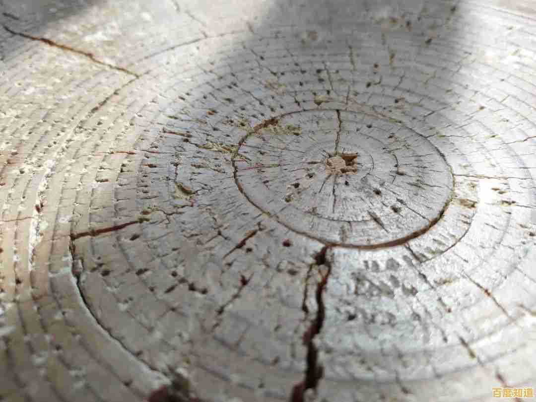 《年轮》这款穿越时空的外卖员冒险，你准备好揭开古树的秘密了吗？