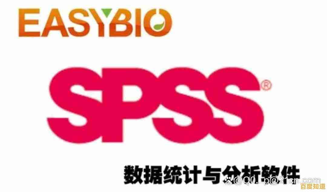 SPSS软件最新版本下载，为您的数据分析与研究提供强大支持
