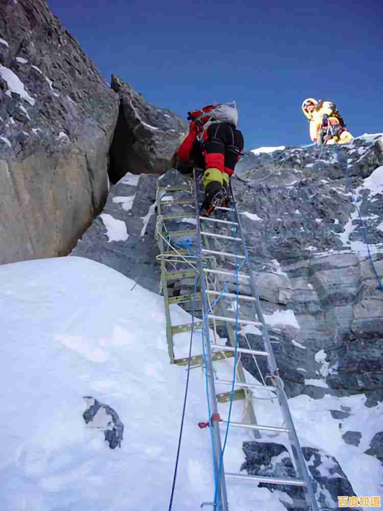 掌握天梯图吧的攀登秘诀：从入门到精通的完整指南