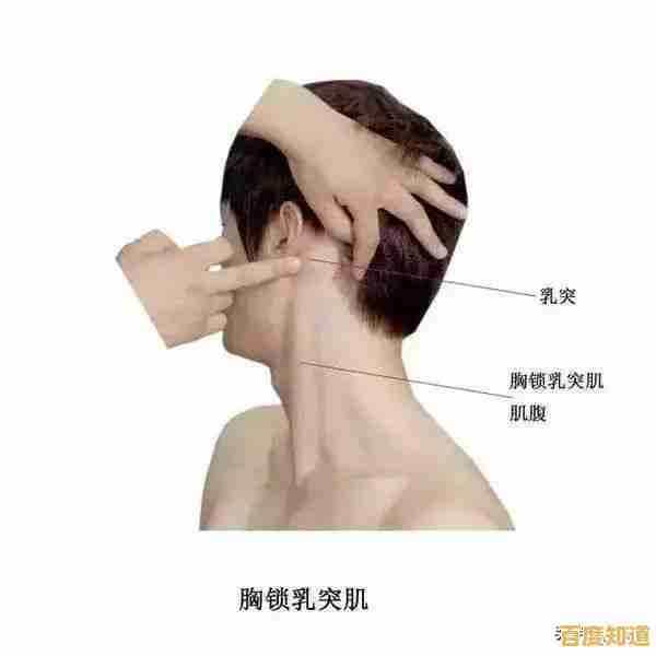 一根手指就能玩转《滚动的天空》你准备好冲上高分了吗? 一根手指就能玩转《滚动的天空》你准备好冲上高分了吗?