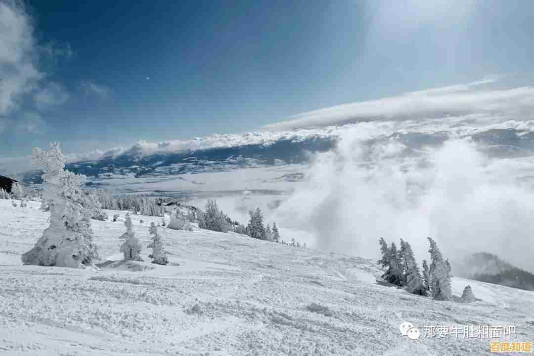 还在找适合消磨时间的休闲游戏？咕咚小镇让你停不下来！