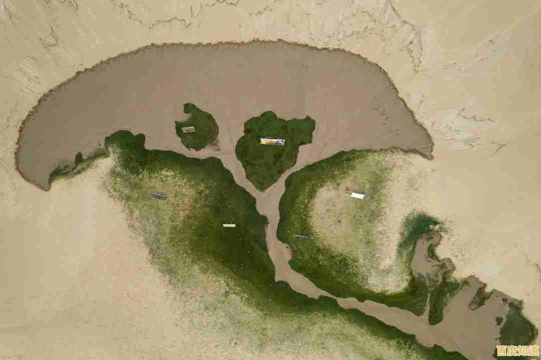 《荒野乱斗彩虹服》自带无限金币钻石,这还不快来体验卡通英雄大战?