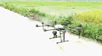 还在找有趣模拟经营游戏?兔克创业记最新版》的兔子员工等你来指挥! 还在找有趣模拟经营游戏?兔克创业记最新版》的兔子员工等你来指挥!