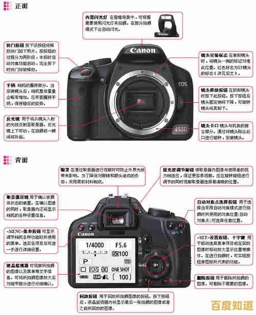 探索单反相机的核心定义:从入门到精通的全面指南 探索单反相机的核心定义:从入门到精通的全面指南