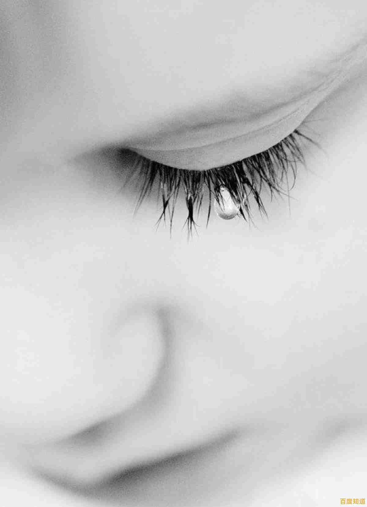 还在寻找简单易上手的射击游戏?机器人愤怒》让你用智慧与火力主宰战场!