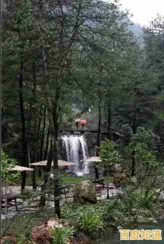电脑无法正常关机？小鱼教您实用步骤快速解决关机难题