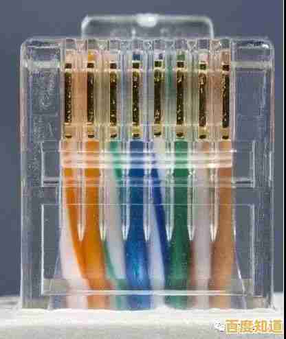 跟着小鱼学网线水晶头制作，详细步骤一学就会