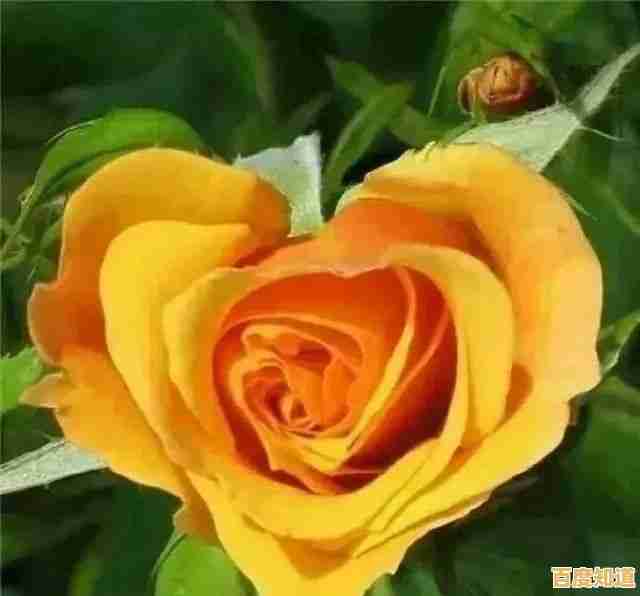 解锁高效清晨：智能闹钟应用的实用选择技巧与推荐