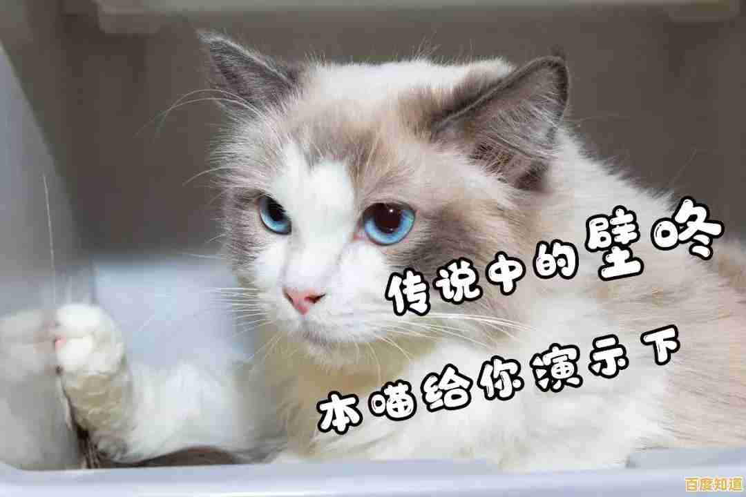 电视猫视频：畅享高清画质与沉浸式音效的视听盛宴