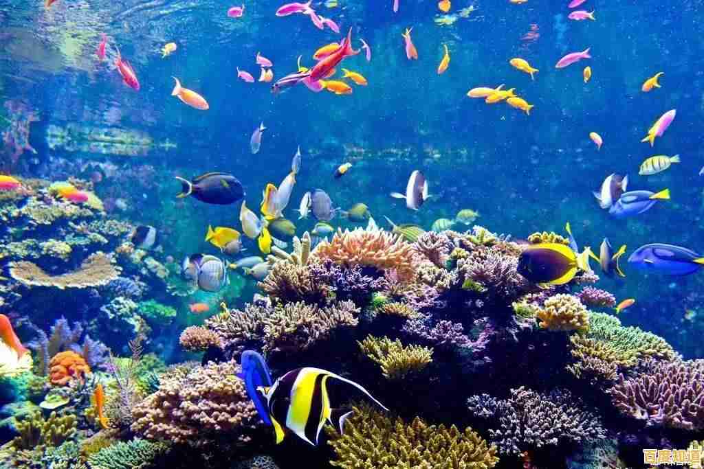 QQ游戏免费下载中心,热门游戏一网打尽,即刻开启欢乐之旅! QQ游戏免费下载中心,热门游戏一网打尽,即刻开启欢乐之旅!