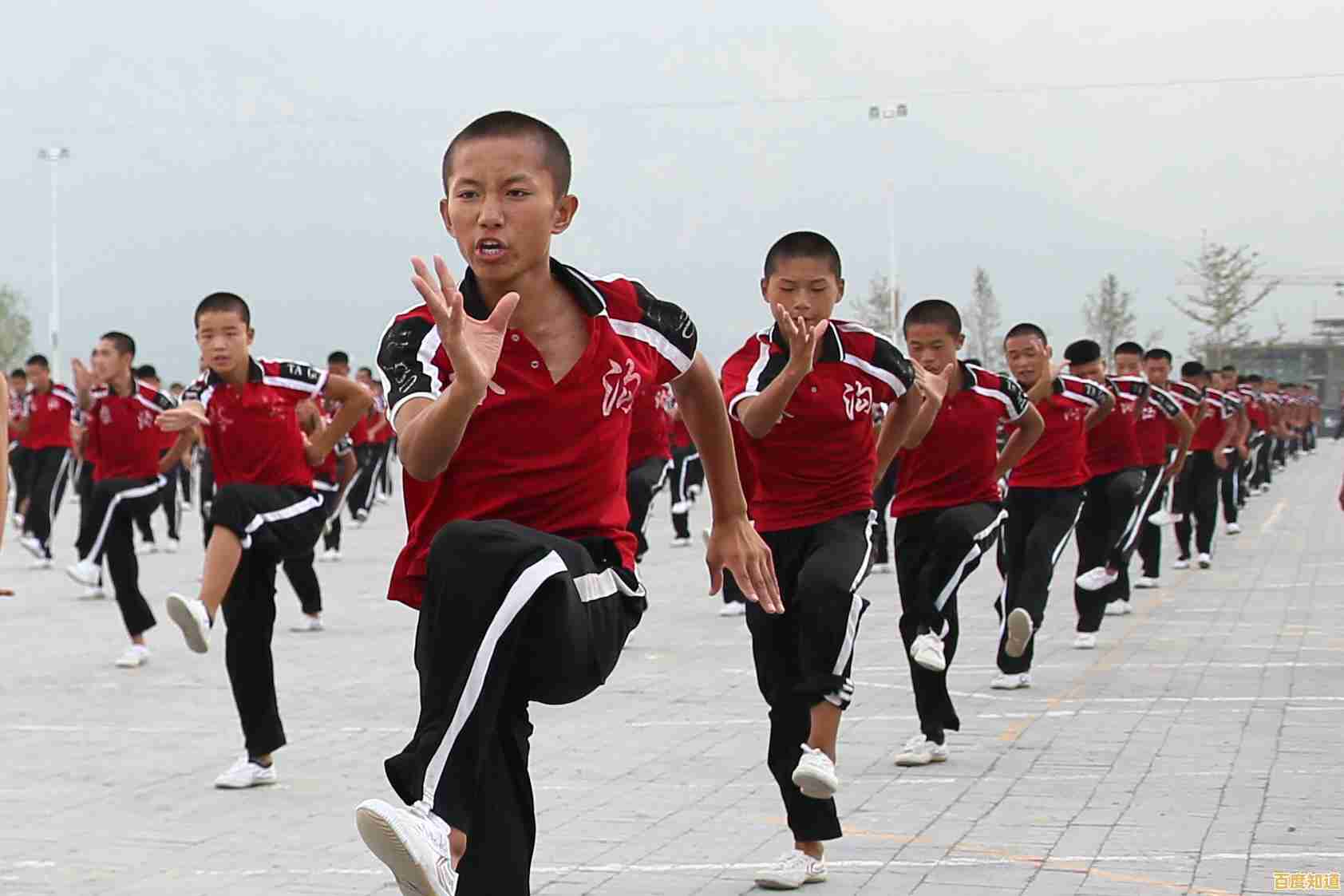 免费高清影音播放器官方下载,畅享视听盛宴与极速播放体验 免费高清影音播放器官方下载,畅享视听盛宴与极速播放体验