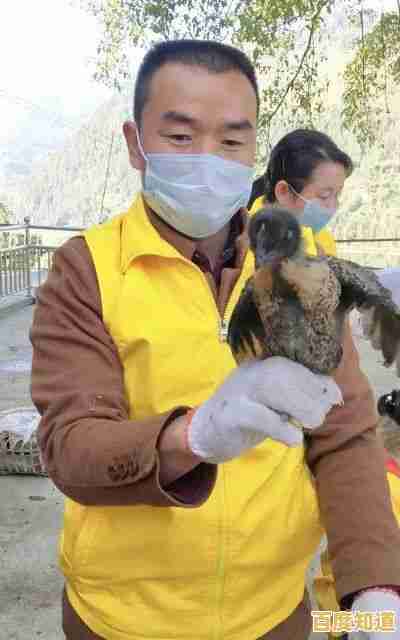 还在找趣味横版闯关？小鸡快跑》二段跳挑战等你来！