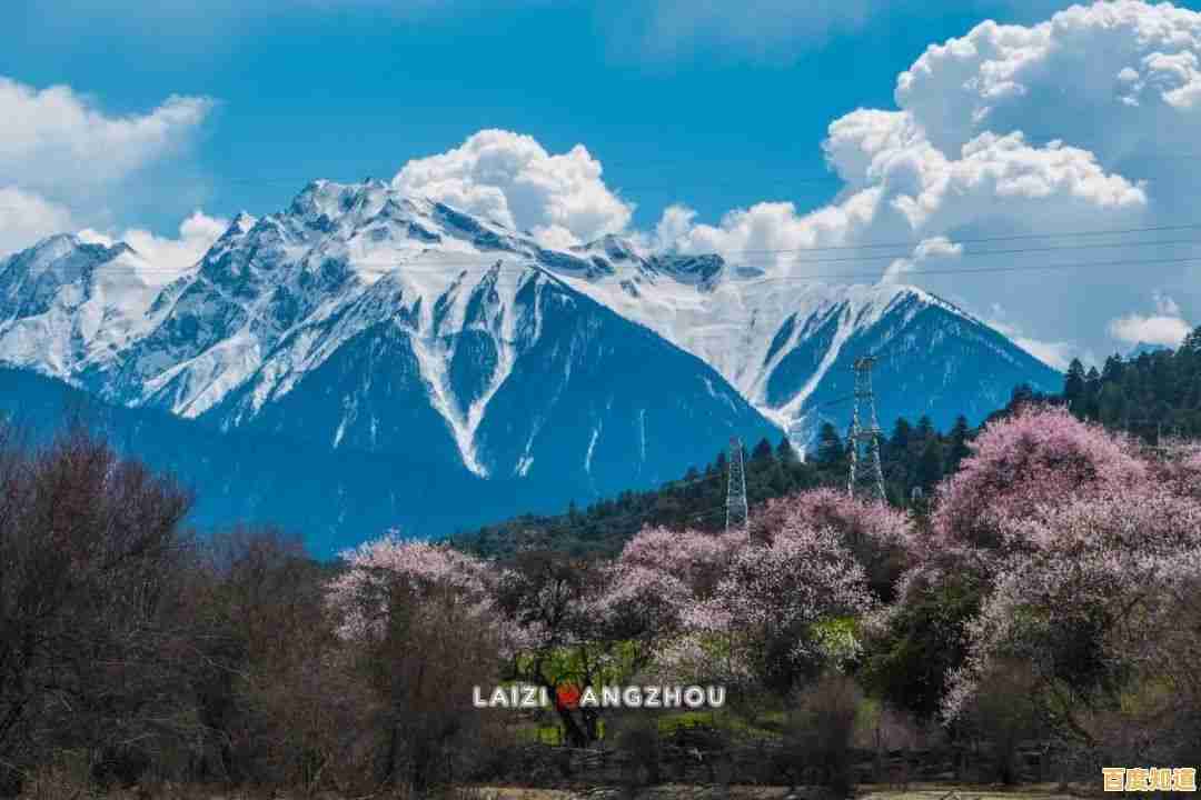 扣人心弦的剧情+全新玩法，传说之下重制版》不下载吗？